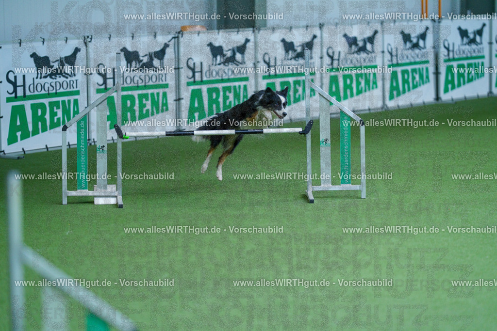 @allesWIRTHgut_Tierfotografie - www.allesWIRTHgut.de - 2604261345-7R502573 | Professionelle Tierfotografie in Mönchengladbach von Daniel Wirth (allesWIRTHgut). Liebevolle & natürliche Bilder von Hunden & Katzen für unvergessliche Erinnerungen.
