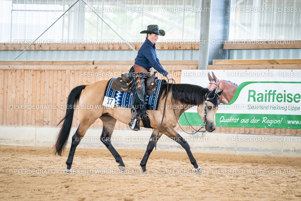 DSC03432 | Pferdegrafie