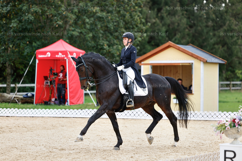 11-007-Dressur S___-StoibPH-1119 | working equitationturnier fotograf videograf stoibphotography marixx film working equitation deutschland reitsport turnierfotografie eventfotografie equestrian events