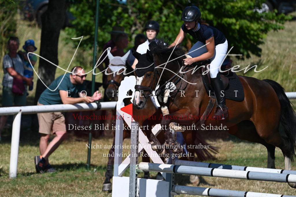 DSC_2036 | Pferde- und Turnierfotografie in Westsachsen. Pferdeportraits, Auftragszeichnungen und intuitive Kunst.