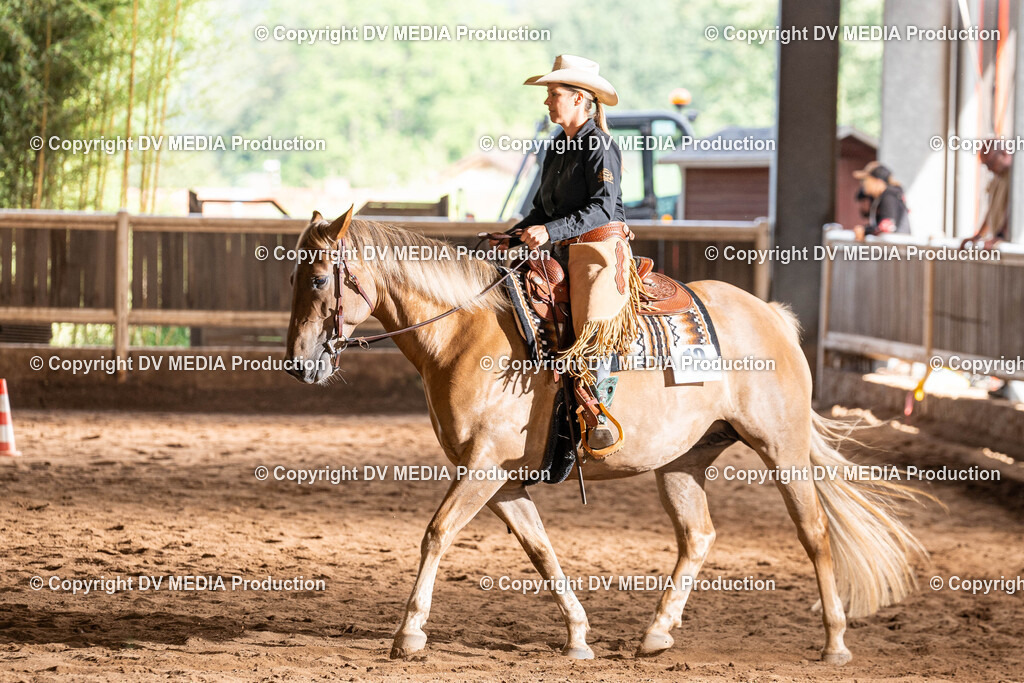 Erbach Tag 1-0931 | dv-media-shop - Realisiert mit Pictrs.com