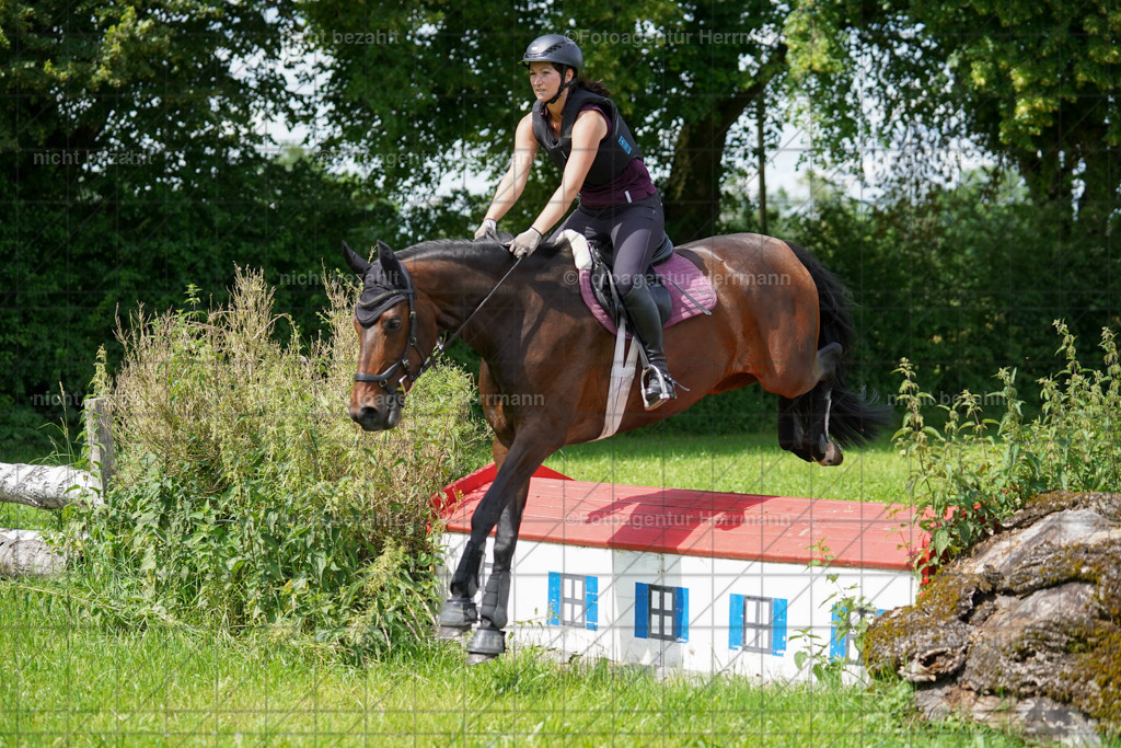 20240622-FAH07650 | Turnierfotografen Bayern, Reitsportbilder aus dem Geländekurs mit Felix Etzel auf dem Gut Waitzacker 2024