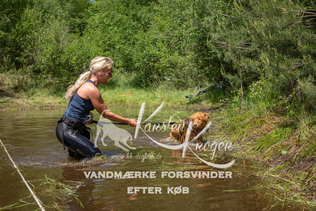 1333DKK994993 | kk-dogfotos