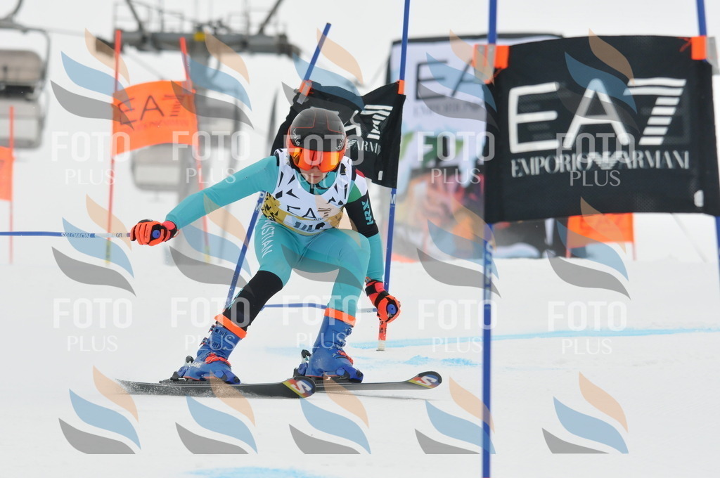 DSC_8408 | holidayphoto