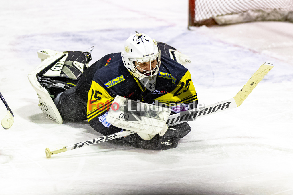 C1DX2395 | Shop für Sportfotografie, Bilddatenbank, Pressefotografie, Fußball, Eishockey, Aktionsfotos