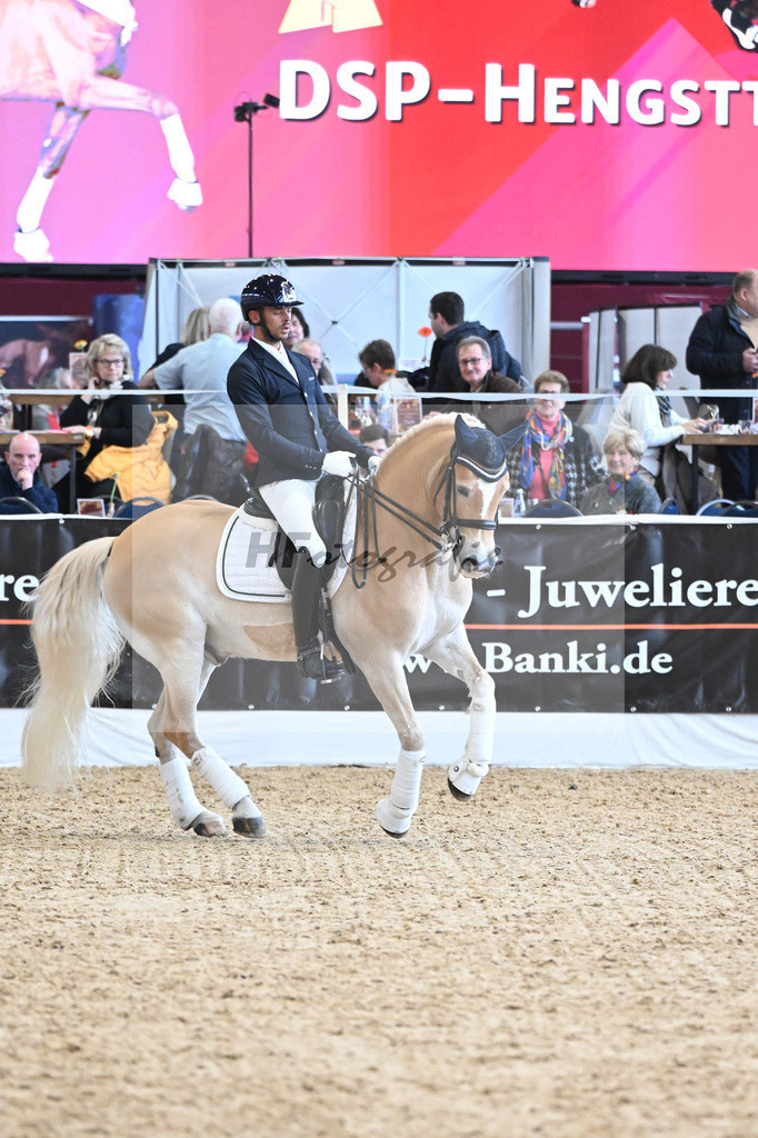 Schauprogramm Haflinger_DSP Amiro_2251549 | hf-fotografie - Realisiert mit Pictrs.com