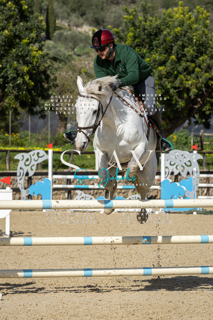 IMG_6717 | s-jay-photography - Realisiert mit Pictrs.com