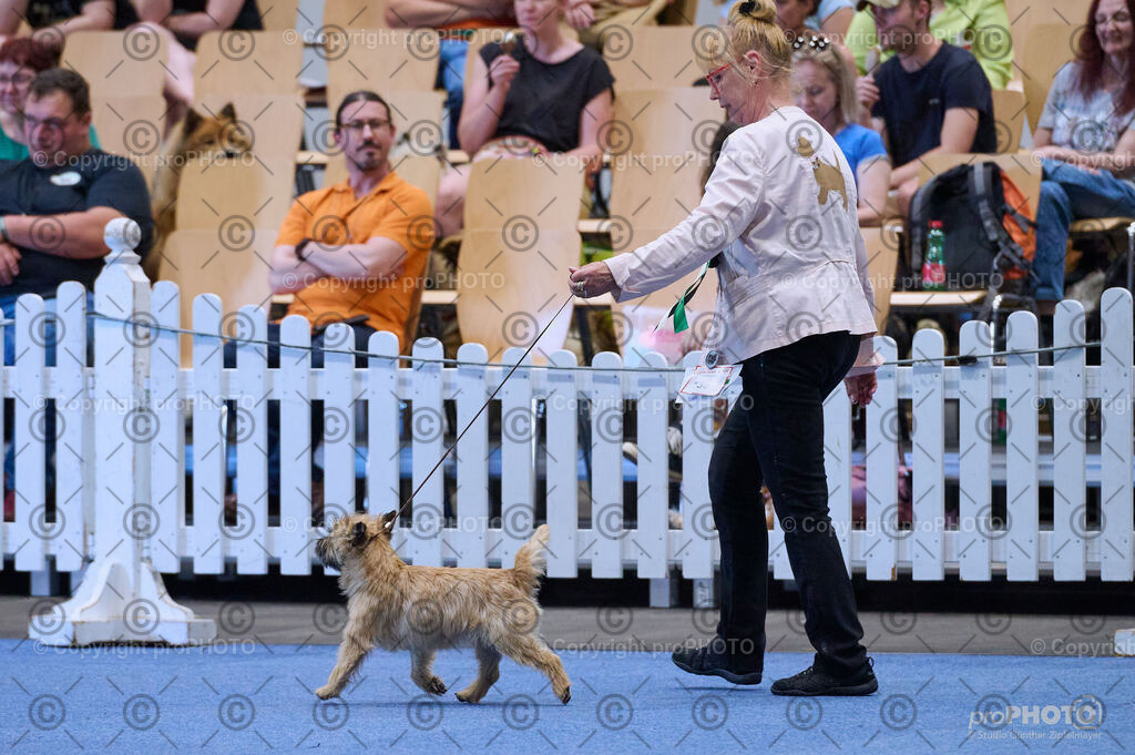 202406_ÖKV-IHA-Tulln24_DSC_3854 | proPHOTO - Realisiert mit Pictrs.com