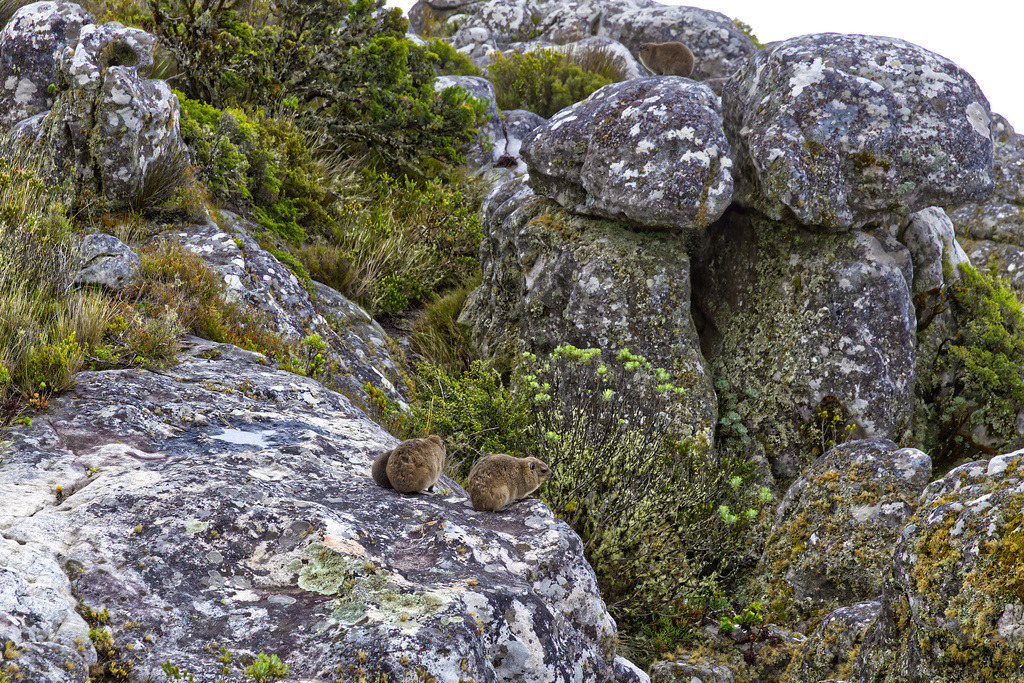 1H5A1987 | ansichtssache