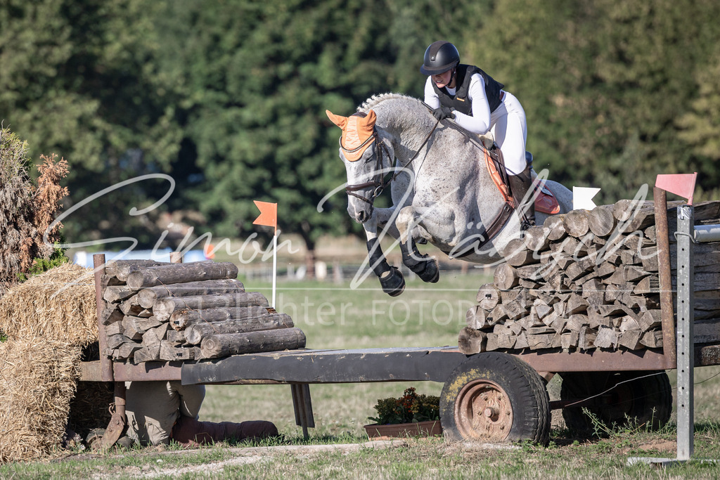 20260906-_3LI1417 | Tierfotografie Pferde, Hunde, Katzen, Haustiere.
Turnierfotografie Reitturniere, Reiten, Springreiten, Dressur in Hanau, dem Main-Kinzig-Kreis und dem Rhein-Main- Gebiet um Frankfurt