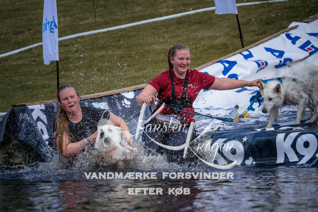 _ZZ919520919 | kk-dogfotos