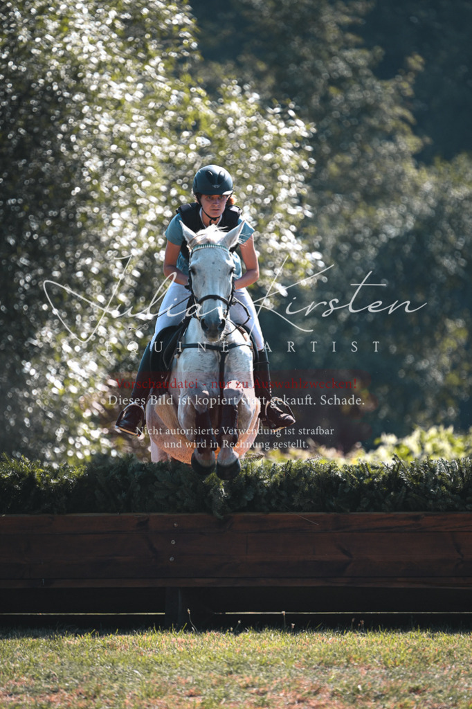 DSC_7965 | Pferde- und Turnierfotografie in Westsachsen. Pferdeportraits, Auftragszeichnungen und intuitive Kunst.