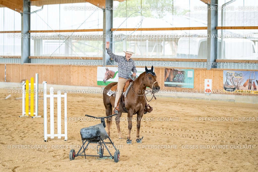 DSC07057 | Pferdegrafie