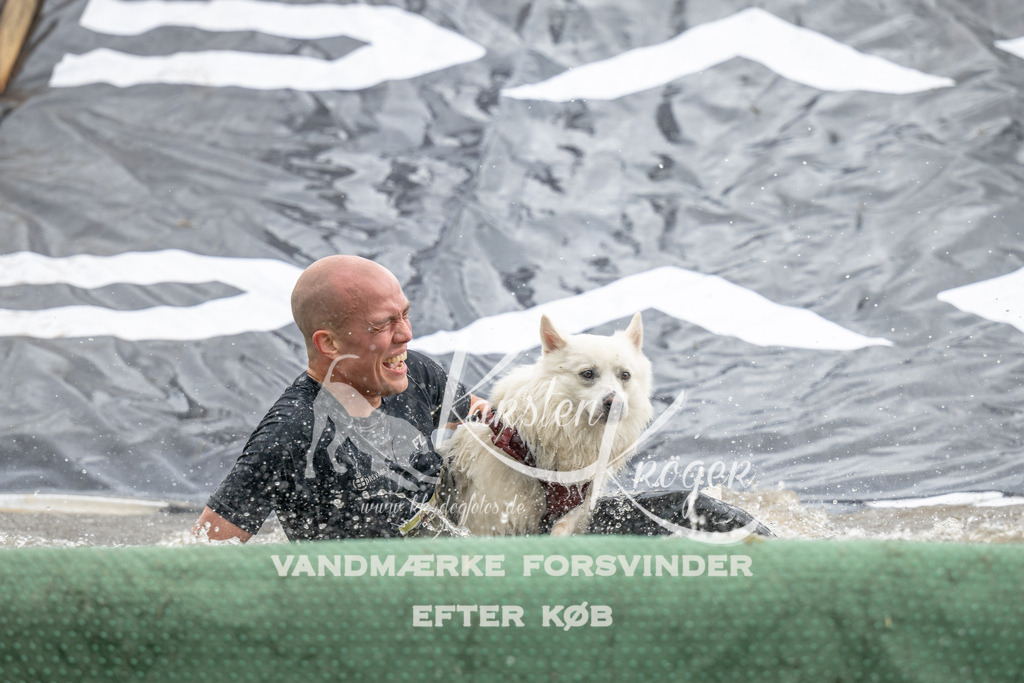 1407_ZZ94456 | kk-dogfotos