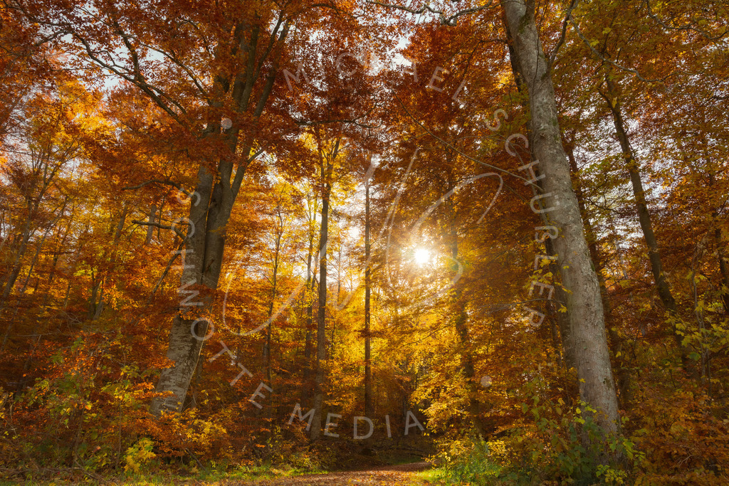 2021-10-31 2021-10-31 Burg Lichtenstein - 006 | Herbst bei der Burg Lichtenstein - Realisiert mit Pictrs.com