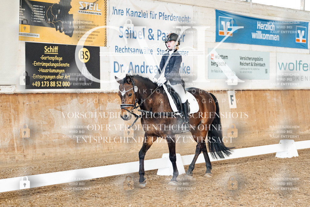 CK900463 | Turnierfotografie Pferdefotografie Trier Rheinland-Pfalz Pferdesport Reitsport Tierfotografie Sportfotografie Pferdevideo Pferdevideografie Equestrianvideography equestrianphotography  - Realisiert mit Pictrs.com