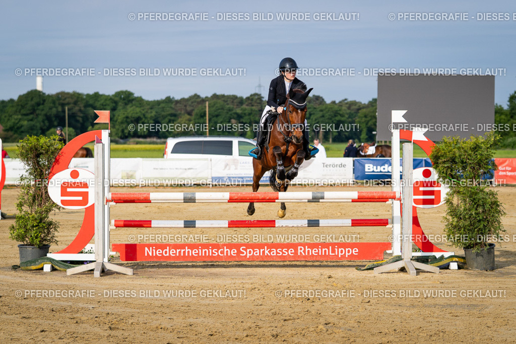 DSC02713 | Pferdegrafie