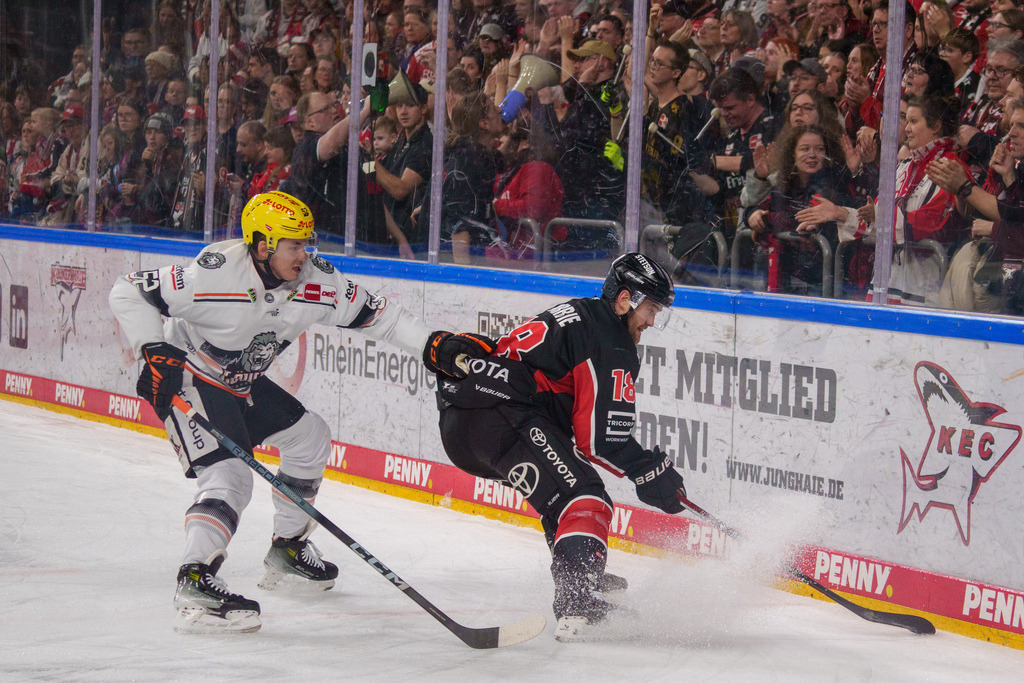 DEL, Deutsche Eishockey Liga Saison 2024/25, 32. Spieltag: Kölner Haie gegen Löwen Frankfurt | 11.10.2024, DEL, Deutsche Eishockey Liga Saison 2024/25, 32. Spieltag: Kölner Haie gegen Löwen FrankfurtBild: Josh Currie (18, Köln) - Realisiert mit Pictrs.com