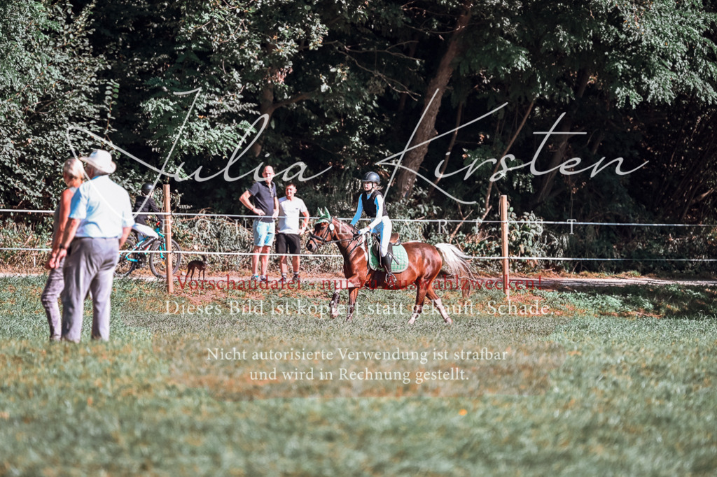 DSC_0853 | Pferde- und Turnierfotografie in Westsachsen. Pferdeportraits, Auftragszeichnungen und intuitive Kunst.
