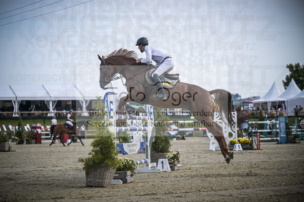 DOS_0376 | Entdecke hochwertige Reitturnierfotos von Foto Oger. Professionell, emotional und authentisch – jetzt Lieblingsmomente im Shop bestellen.Deutschlandweite Turnierfotografie. - Realisiert mit Pictrs.com