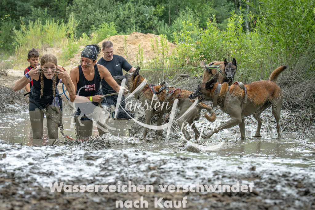 1558_ZZ91754-Verbessert-RR | kk-dogfotos