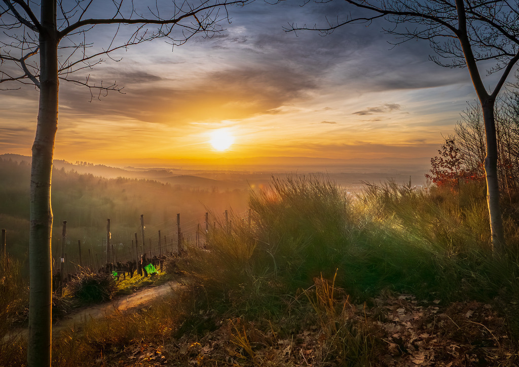 MPI_Landscape_0005 | Mystische Abendstimmung an der Fuchslochhütte in Nesselried - Realisiert mit Pictrs.com