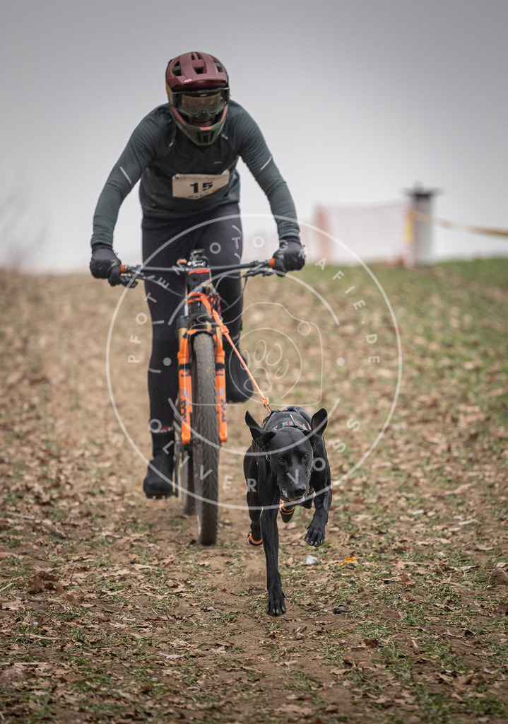 Pfotenfotografie_DV3A2390 | Hundefotografie, Tierfotograf, Pfotenfotografie, Fotoshooting Hund, Hunde Portrait, Hundesport, Hundeportraits, Heideshooting, Hunde, Sportfotograf, Hundefotograf, Turnierhundsport, THS,  - Realisiert mit Pictrs.com