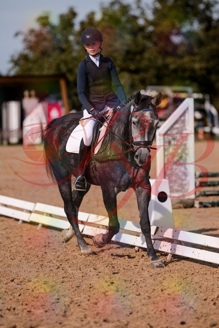 2026_10_03_Siefer-Hof_120028_Z81_02252366 | Professionelle Reitsport-, Turnier- und Eventfotografie von Robert Broda. Galerien mit ausgewählten und bearbeiteten Bildern direkt online ansehen und bestellen.