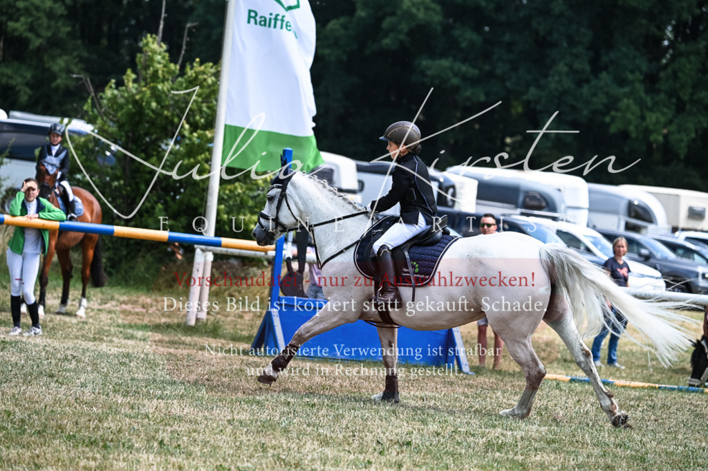 DSC_9618 | Pferde- und Turnierfotografie in Westsachsen. Pferdeportraits, Auftragszeichnungen und intuitive Kunst.