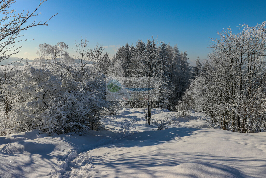 Frankenwarte Winter | Impressionen rund um Hochfranken - Frankenwald - Fichtelgebirge - Realisiert mit Pictrs.com