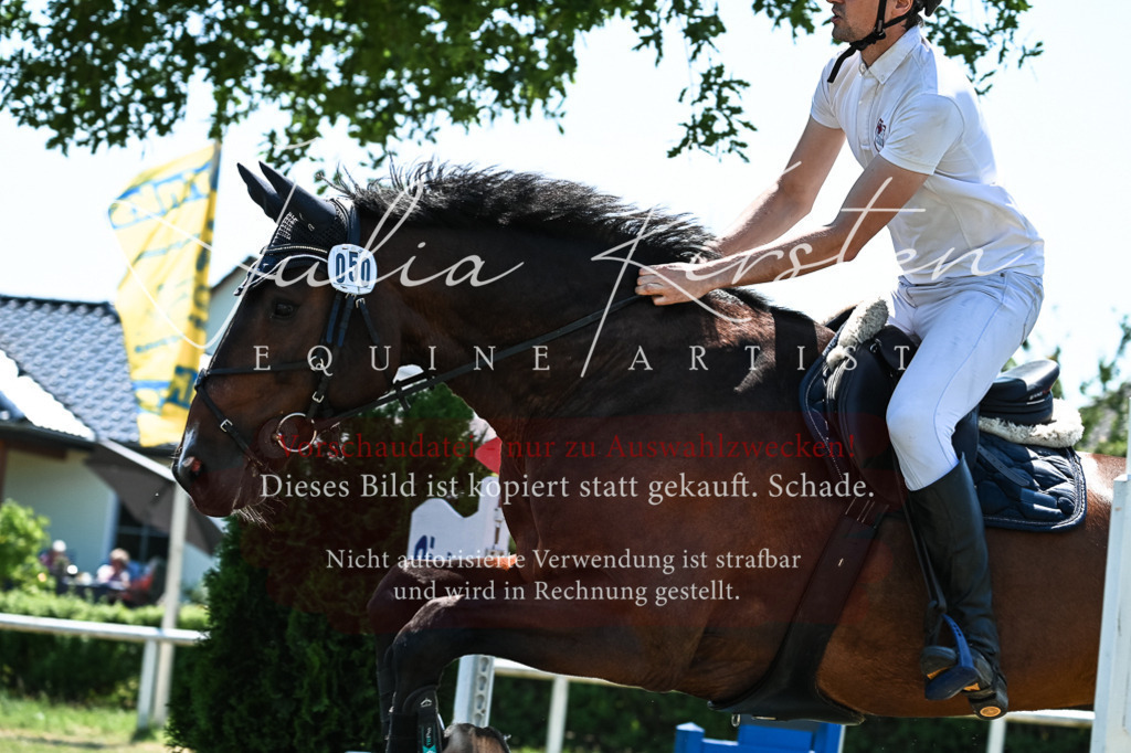 DSC_0469 | Pferde- und Turnierfotografie in Westsachsen. Pferdeportraits, Auftragszeichnungen und intuitive Kunst.