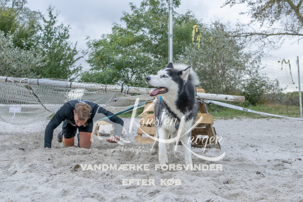 1125_ZZ96710 | kk-dogfotos