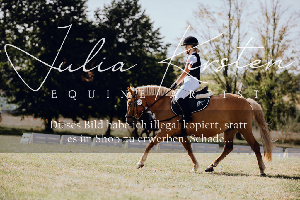 DSC_7070 | Pferde- und Turnierfotografie in Westsachsen. Pferdeportraits, Auftragszeichnungen und intuitive Kunst.