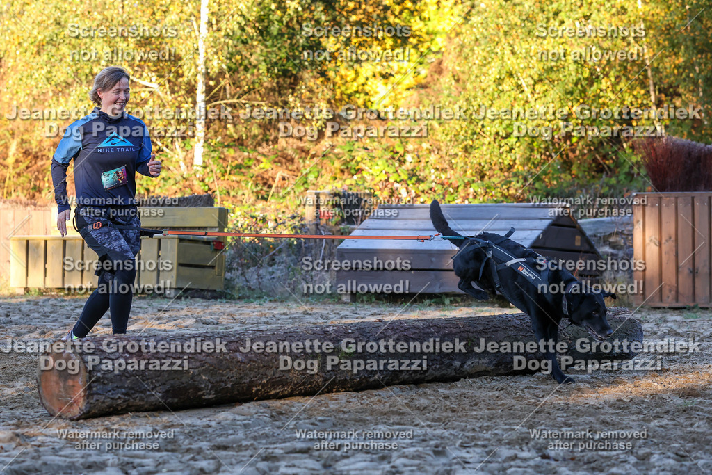 Dog Paparazzi - Strongdog 10-25-607 | Dog Paparazzi Jeanette Grottendiek Fotografie & Videografie - Realisiert mit Pictrs.com