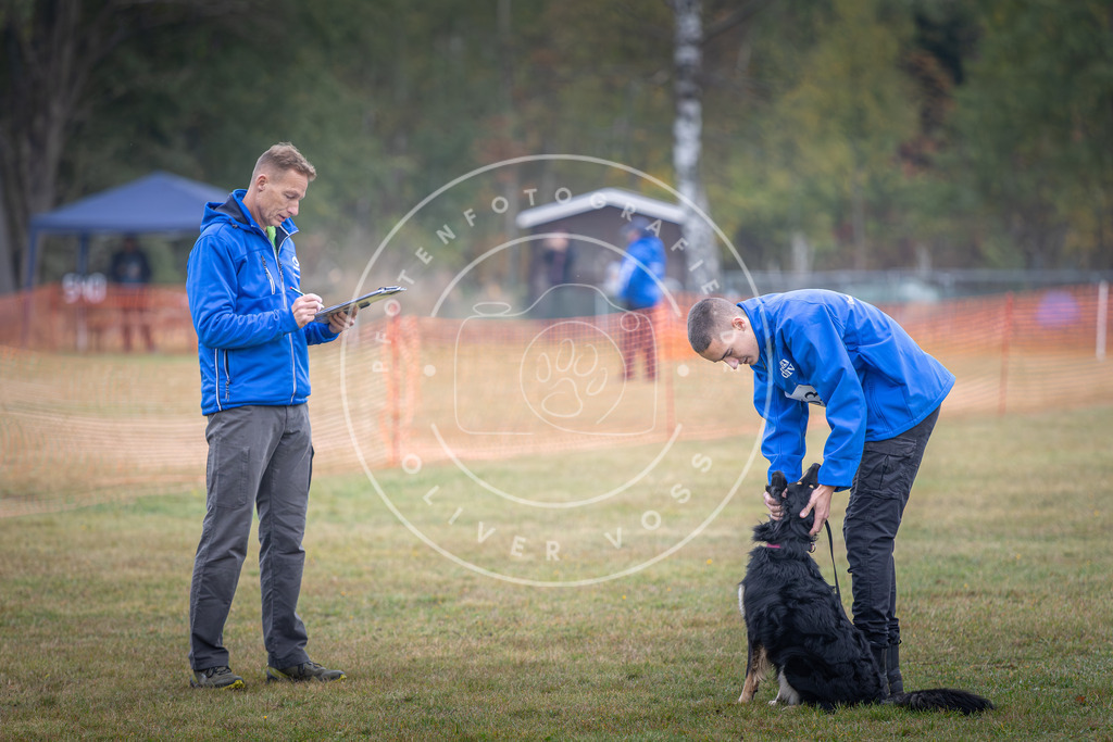 Pfotenfotografie_DV3A8873 | Hundefotografie, Tierfotograf, Pfotenfotografie, Fotoshooting Hund, Hunde Portrait, Hundesport, Hundeportraits, Heideshooting, Hunde, Sportfotograf, Hundefotograf, Turnierhundsport, THS,  - Realisiert mit Pictrs.com