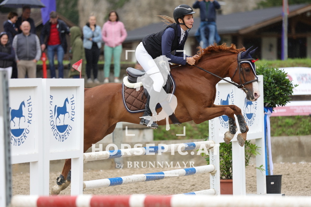 0P6A1555 | Willkommen bei Brunnmayr - Design & Fotografie – Ihrem Spezialisten für Reitturniere und Pferdeveranstaltungen in Oberösterreich, Salzburg und Bayern! Seit über 17 Jahren sind wir leidenschaftlich dabei.