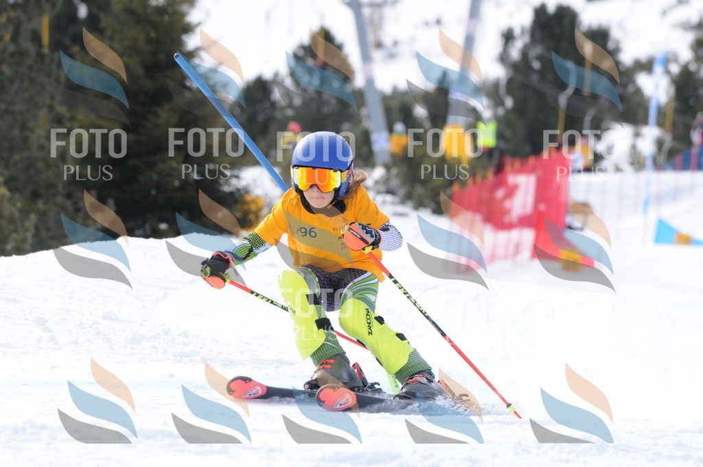 C7504 | holidayphoto