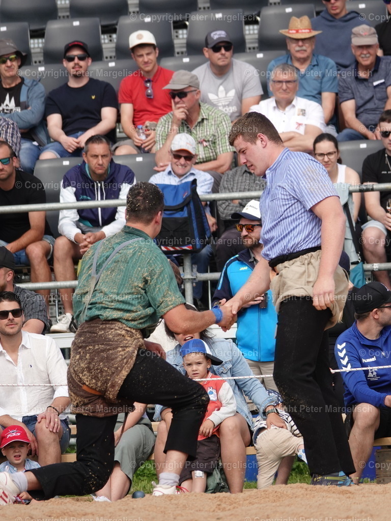 DSC06705 | Schwingen - Realisiert mit Pictrs.com