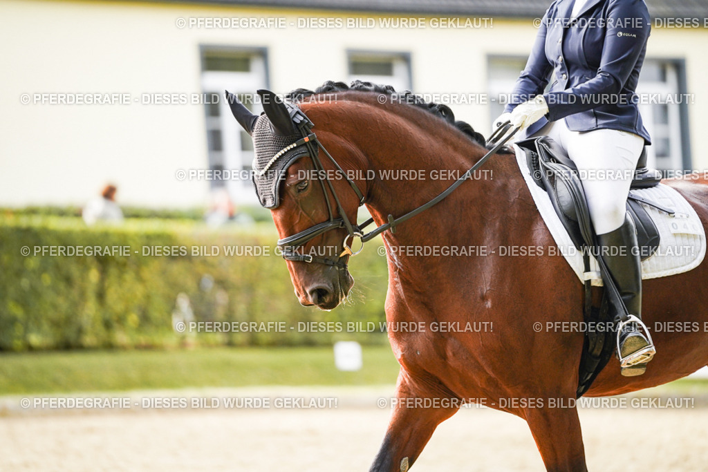 DSC09339 | Pferdegrafie