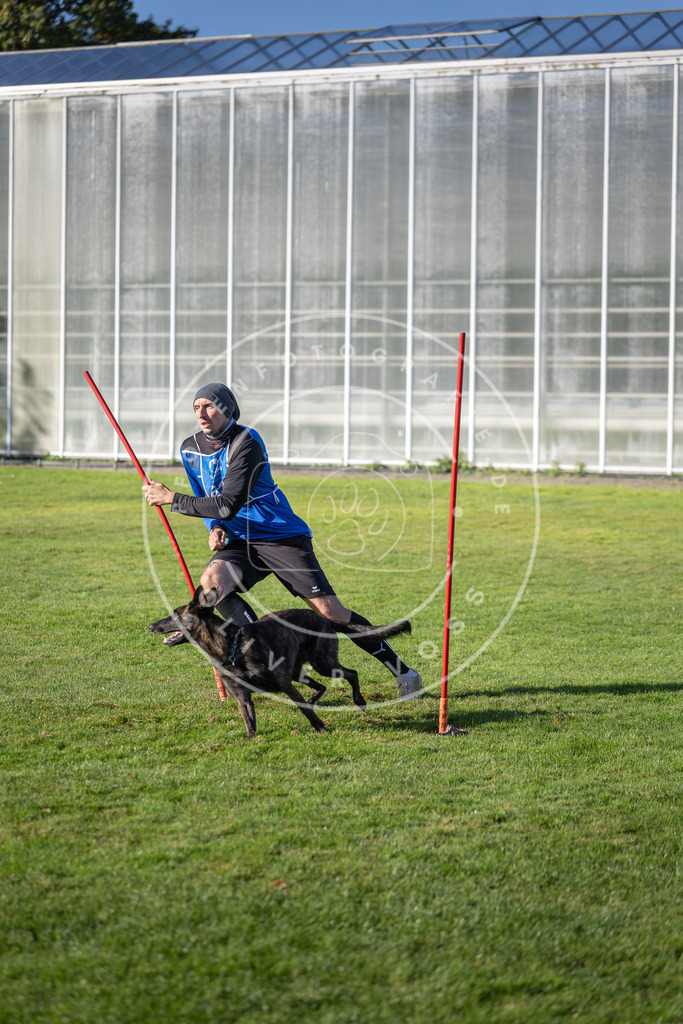 Pfotenfotografie.de_DV3A3376 | Hundefotografie, Tierfotograf, Pfotenfotografie, Fotoshooting Hund, Hunde Portrait, Hundesport, Hundeportraits, Heideshooting, Hunde, Sportfotograf, Hundefotograf, Turnierhundsport, THS, canicross - Realisiert mit Pictrs.com