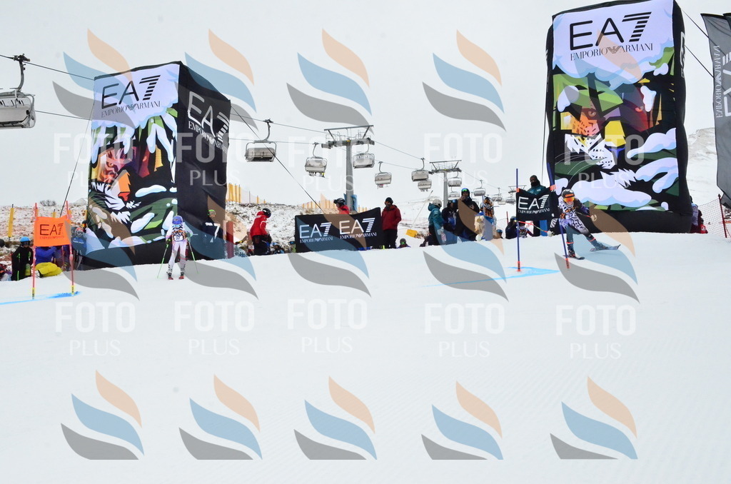 _ELE3315 | holidayphoto