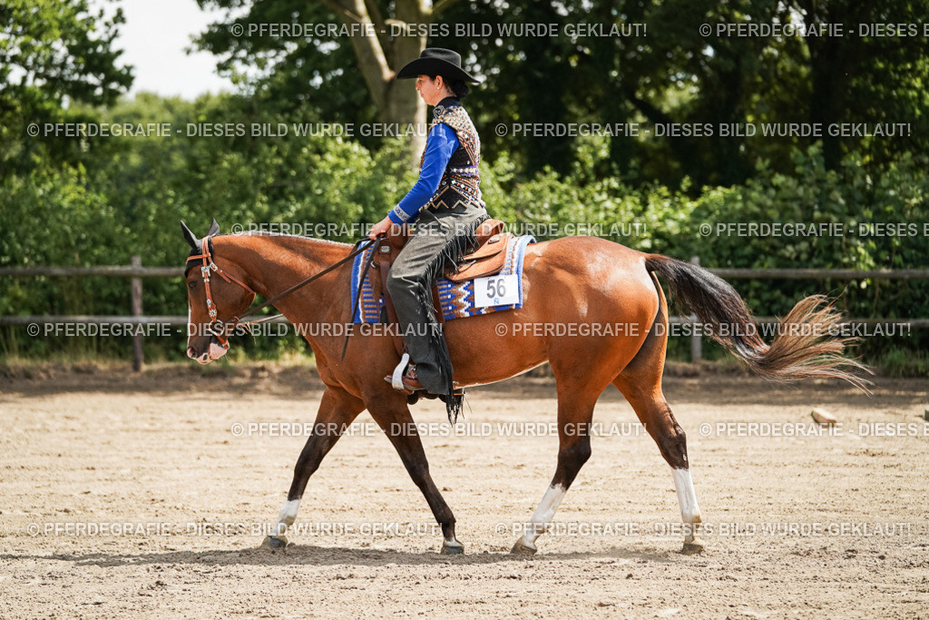 DSC06136 | Pferdegrafie