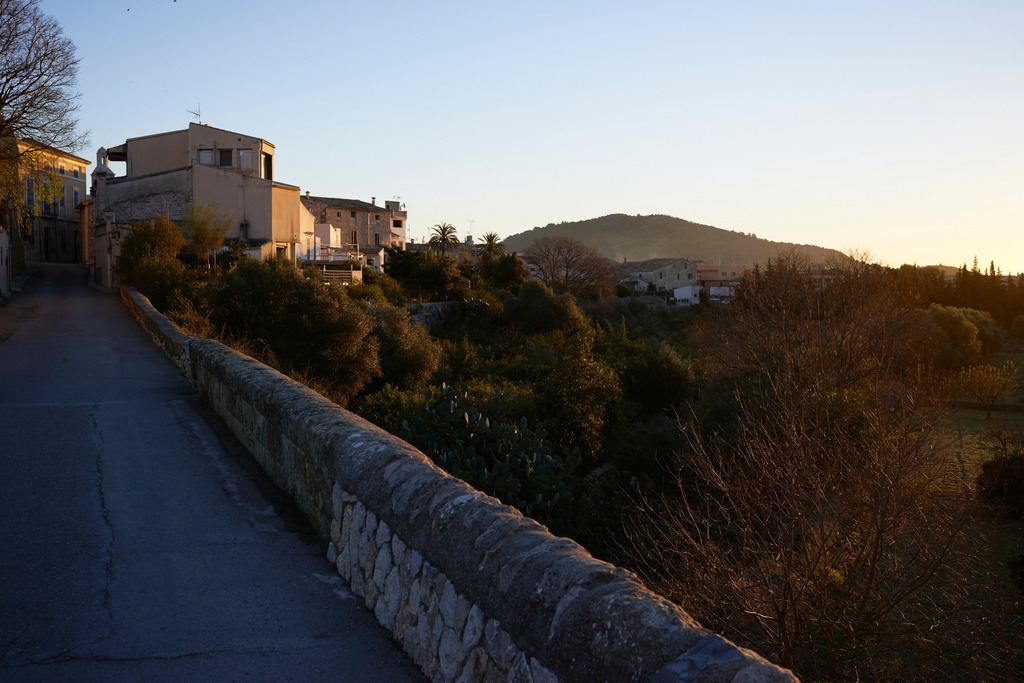 Orangenplantage vor Dorfeinfahrt | Alaró, Spanien - December 30, 2013: Orangenplantage vor Dorfeinfahrt. - Realisiert mit Pictrs.com