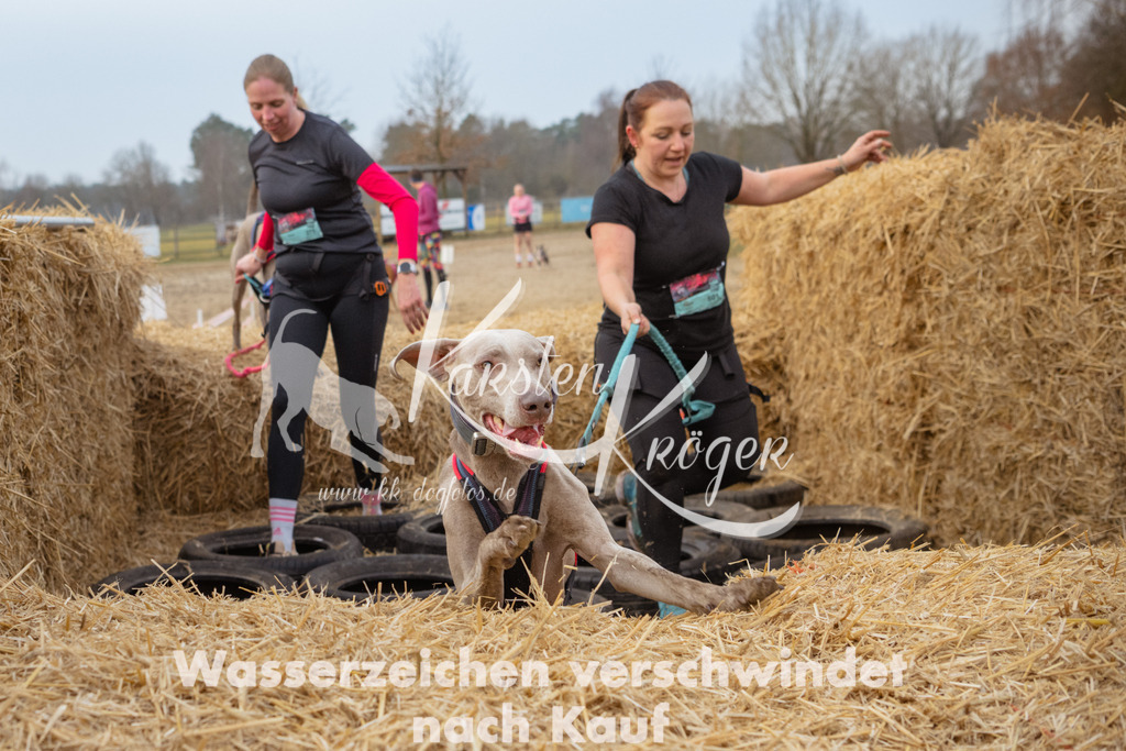 0840_ZZ94270 | kk-dogfotos