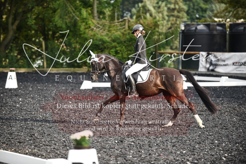 DSC_3390 | Pferde- und Turnierfotografie in Westsachsen. Pferdeportraits, Auftragszeichnungen und intuitive Kunst.