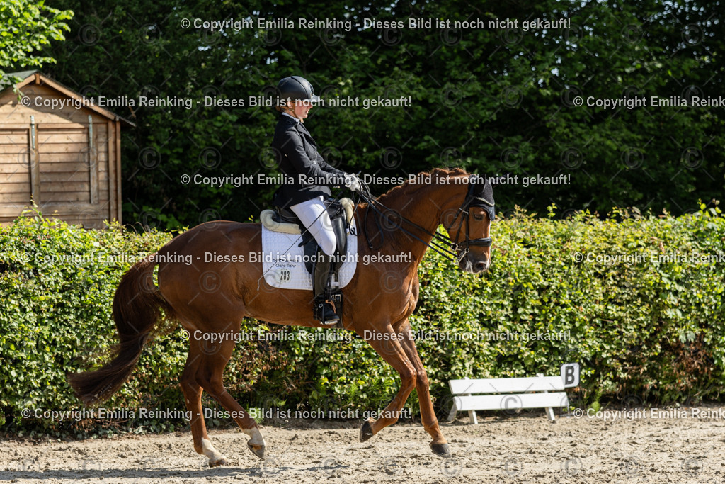 CL5A7431 | Emilia Reinking Fotografie - Realisiert mit Pictrs.com