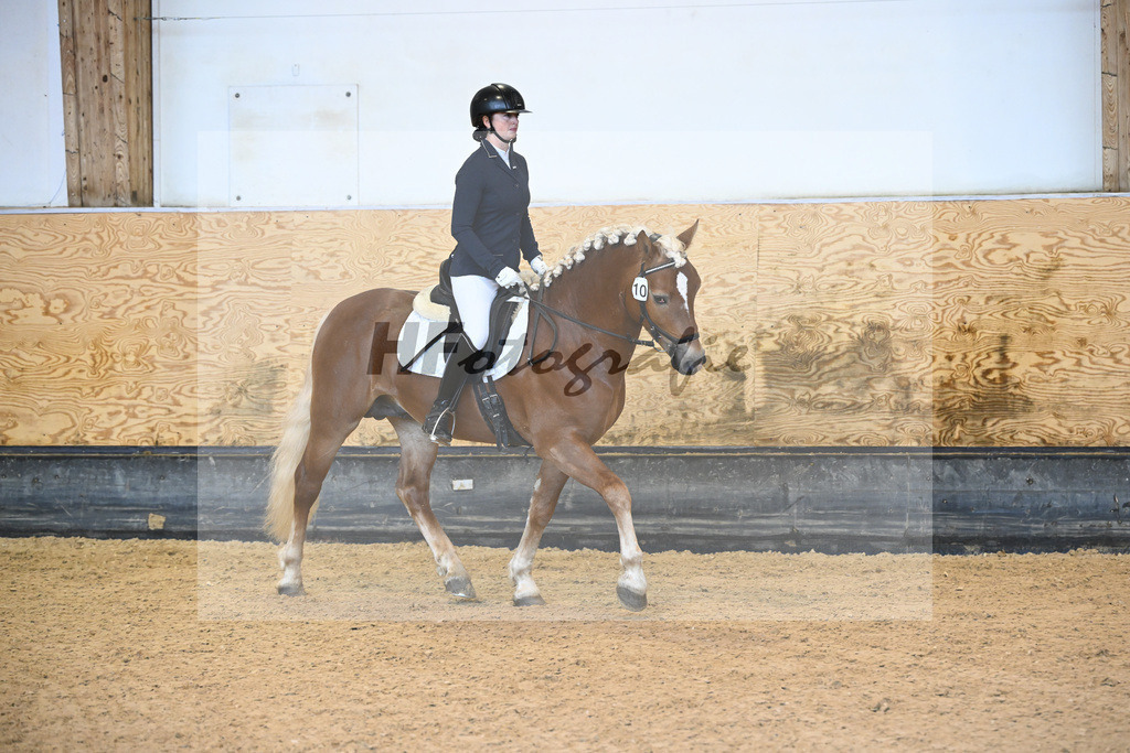 Kat-Nr. 10 Napoleon Bonaparte_Blum_44240293 | hf-fotografie - Realisiert mit Pictrs.com