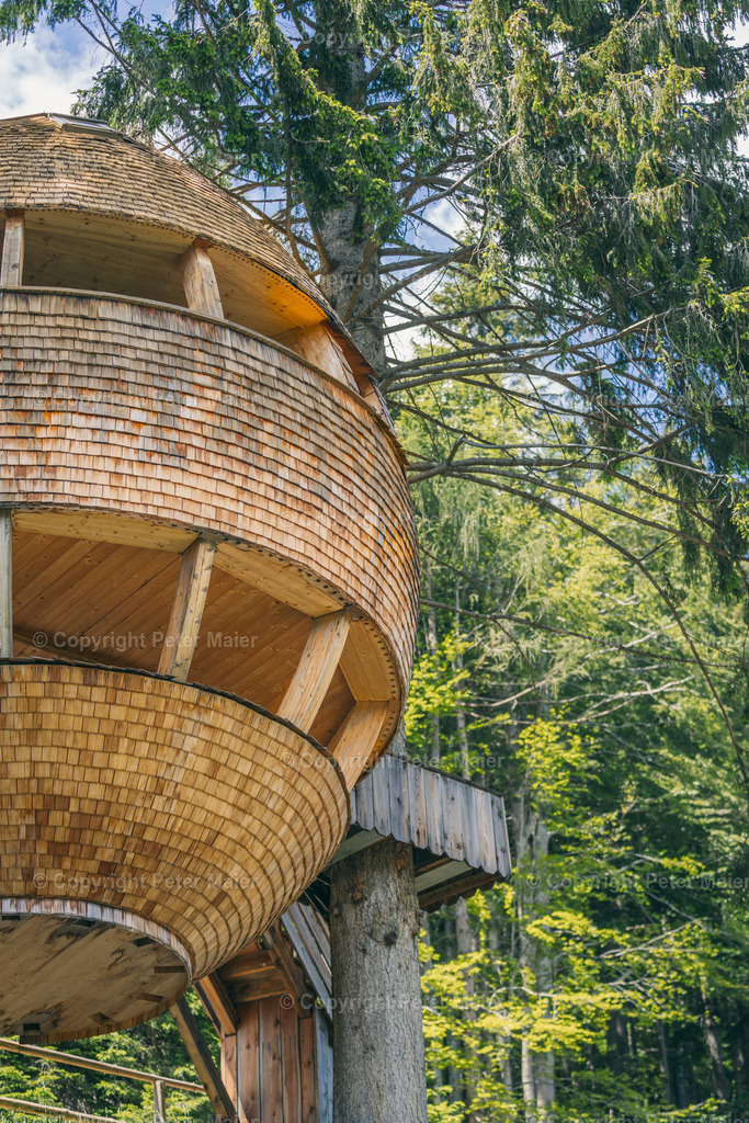 Malga_Priu_Karnische_Milchstrasse_2020-11 | piet_flosse