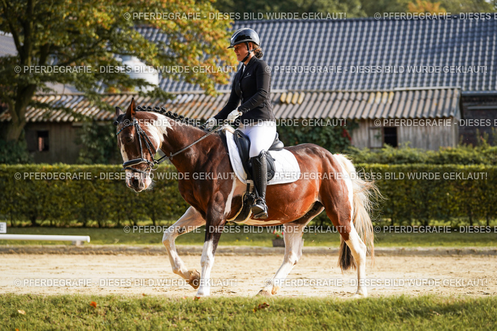 DSC05670 | Pferdegrafie