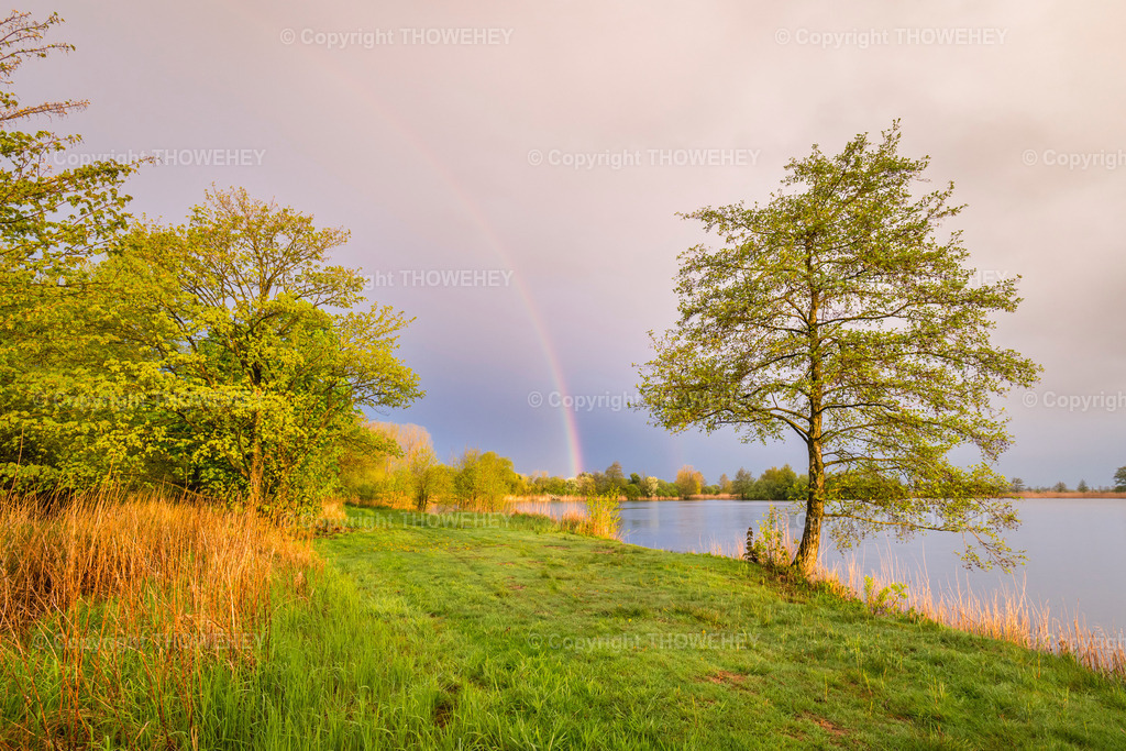 _1067661 | thowehey - Realisiert mit Pictrs.com